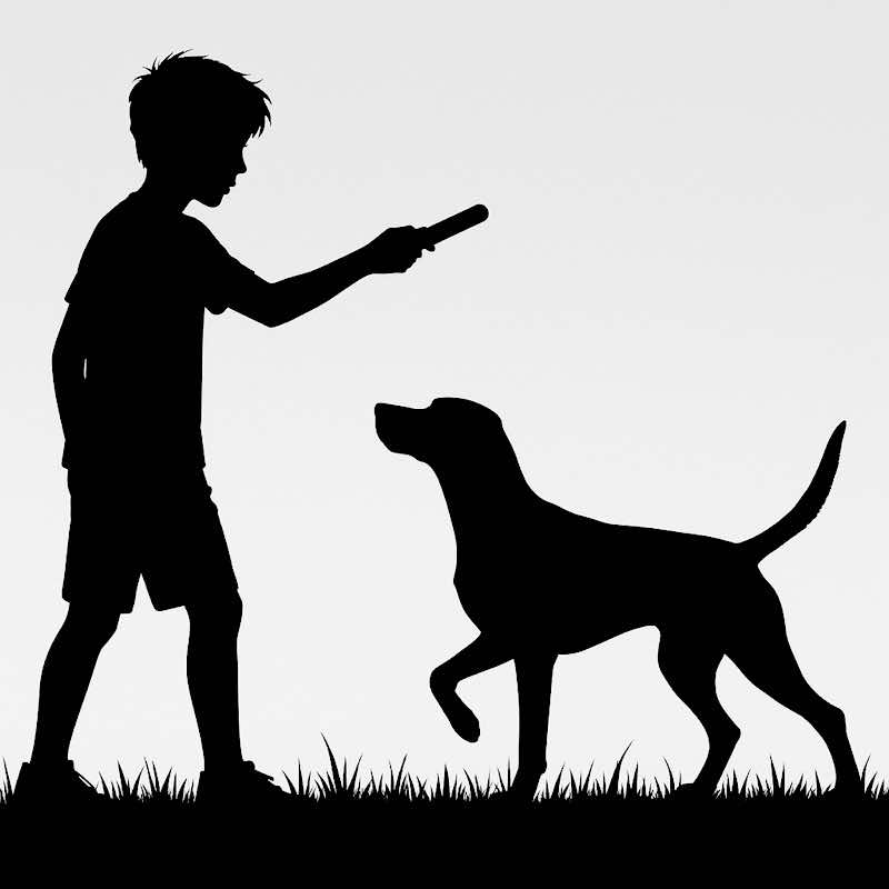 Apply to Junior Handlers